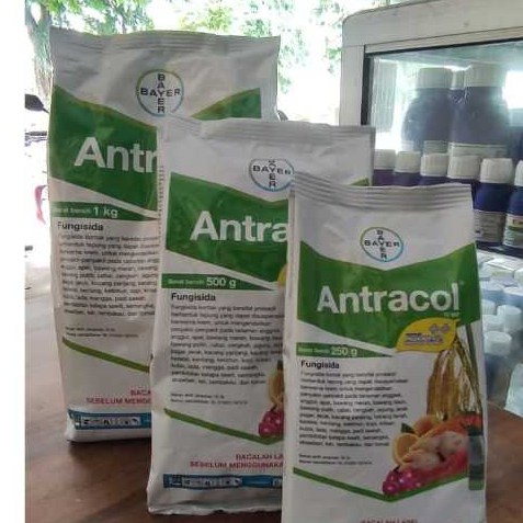 ANTRACOL 70WP 1KG