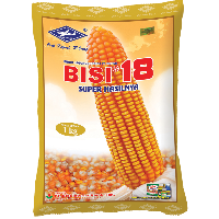 BISI 18