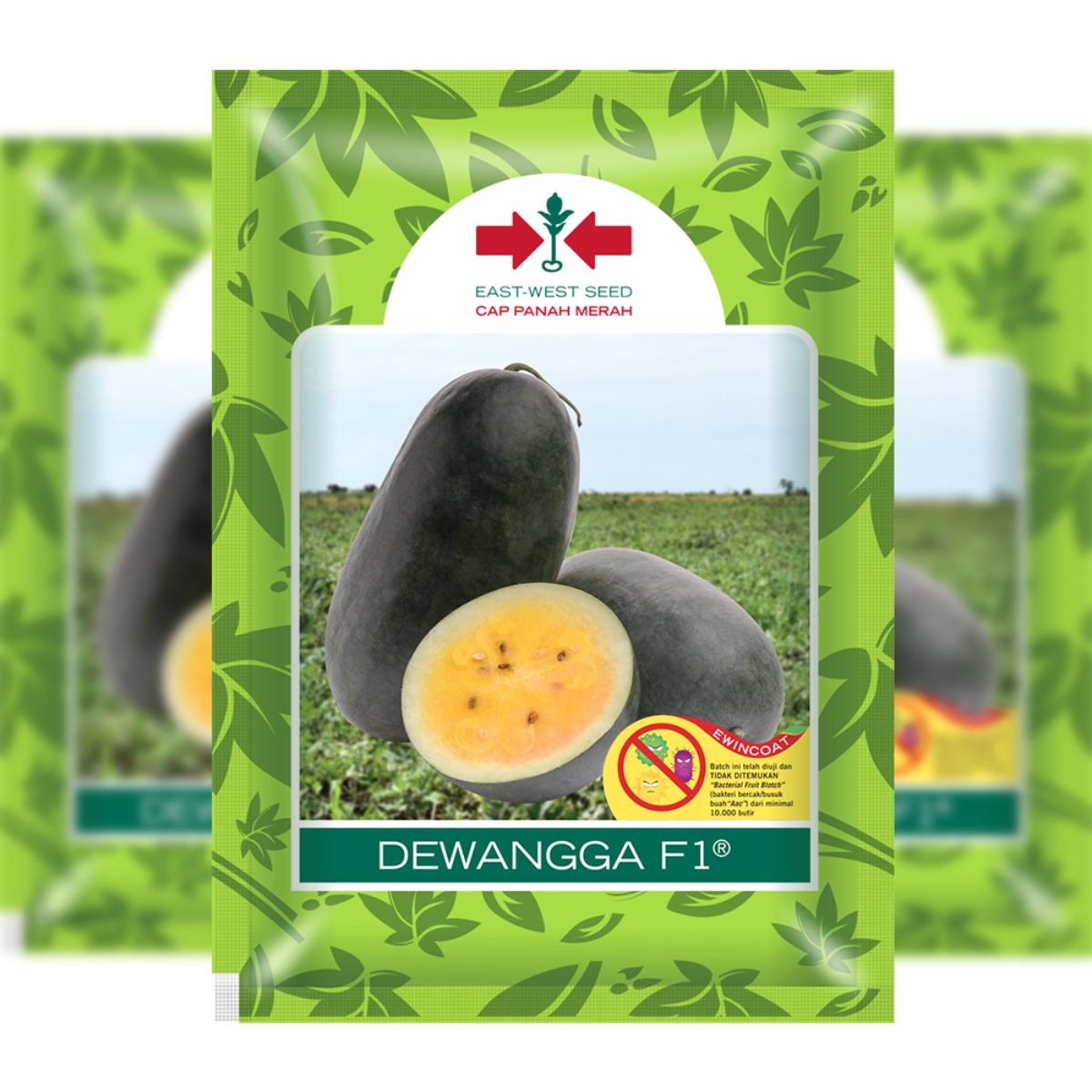 SEMANGKA DEWANGGA