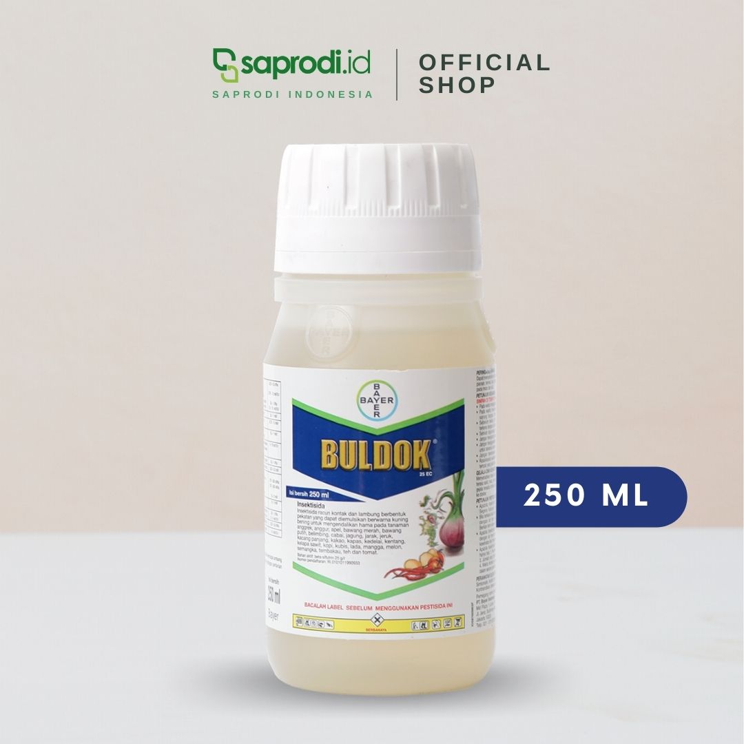 BULDOK 250CC