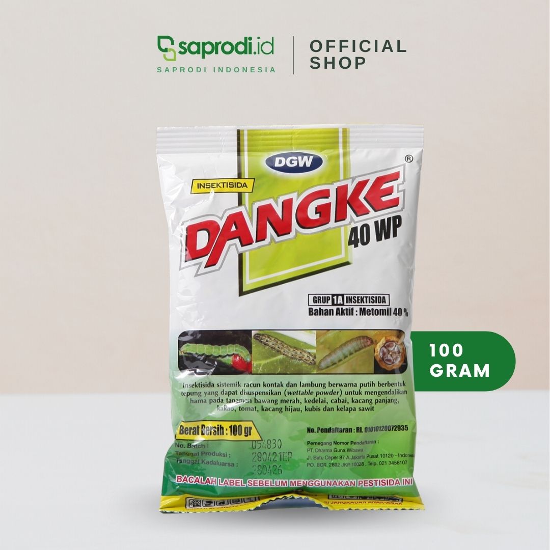 DANKE 100GR (DGW) x 100