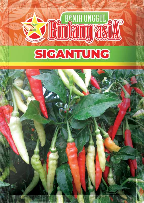 LOMBOK SIGANTUNG