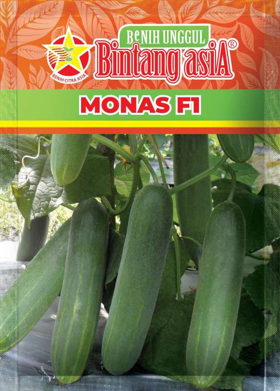 TIMUN MONAS F1 900S