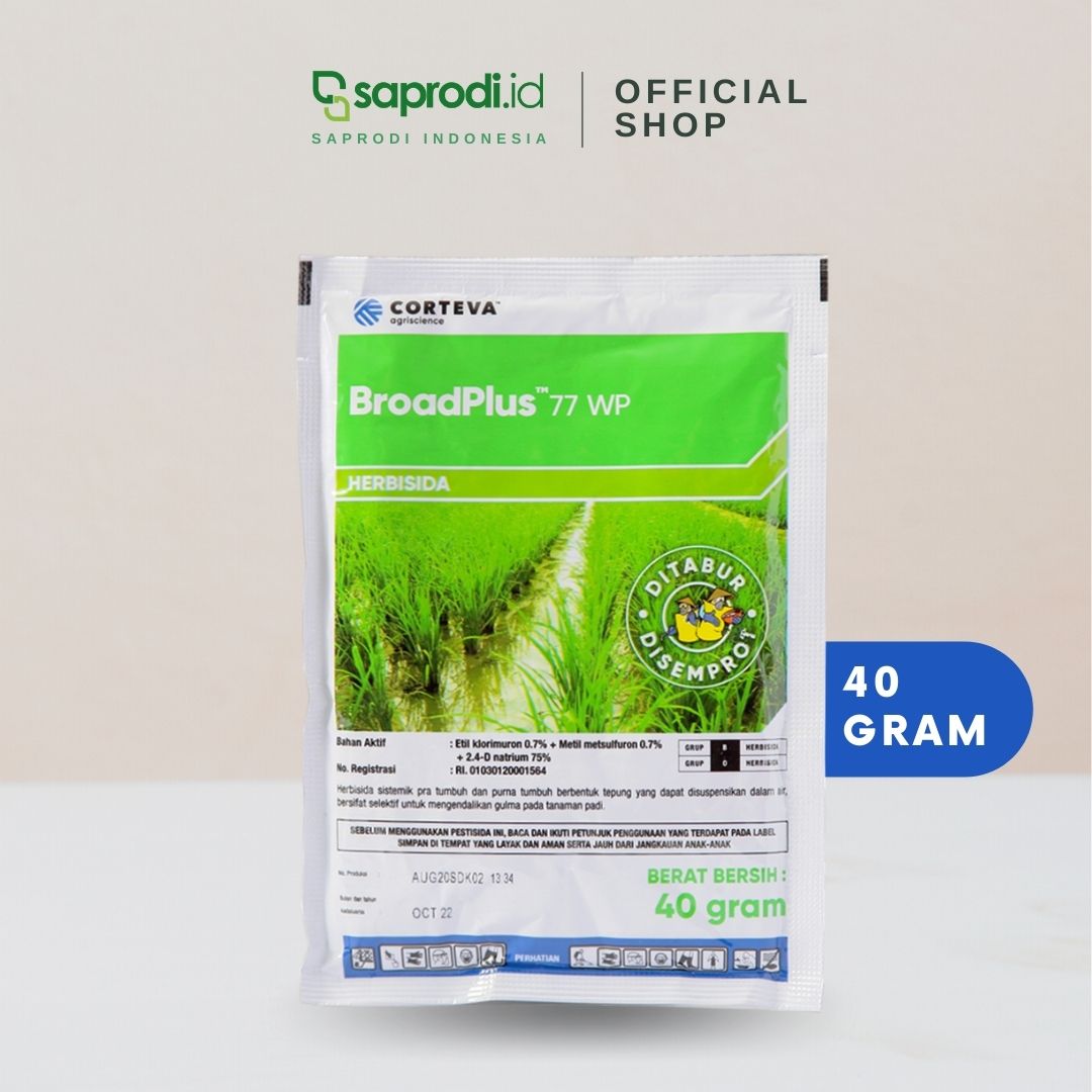 BROAD PLUS 40GR