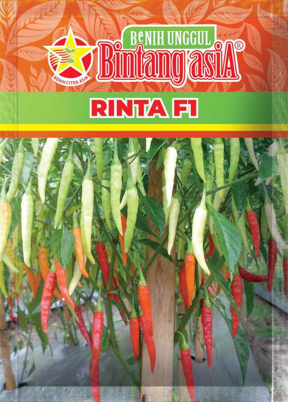 LOMBOK RINTA F1