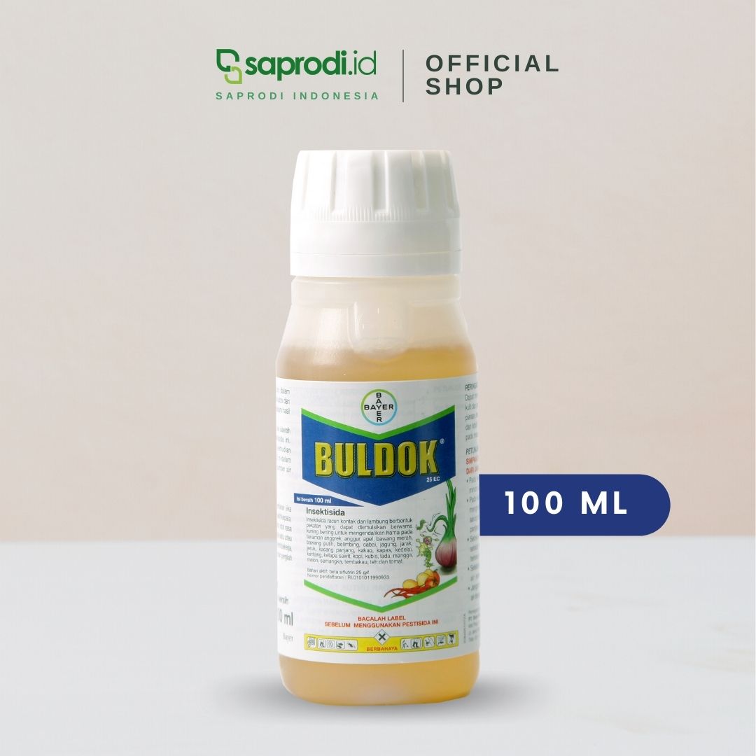 BULDOK 100CC